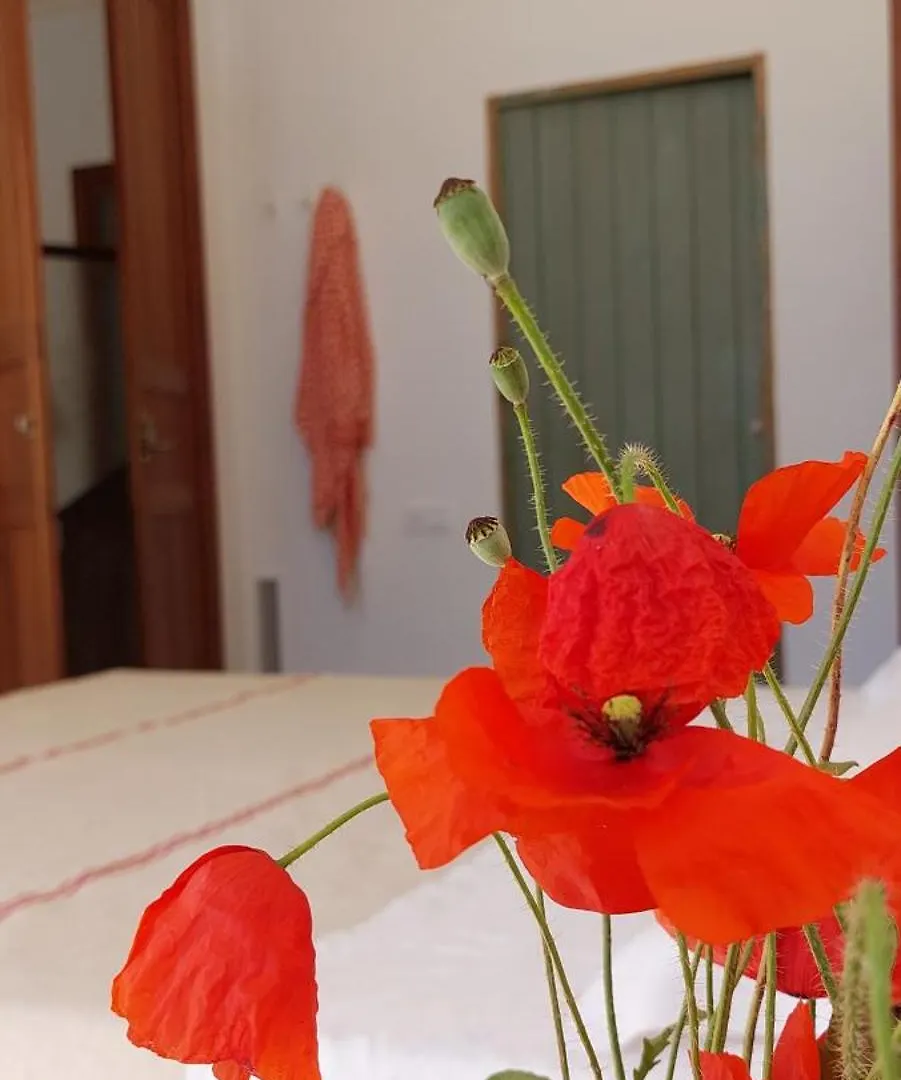 Idayvuelta Home & Suites With Private Pool Ses Salines  Πανσιόν Ses Salines (Mallorca)